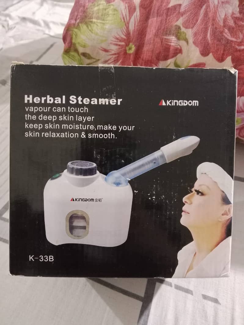 Face Steamer 1