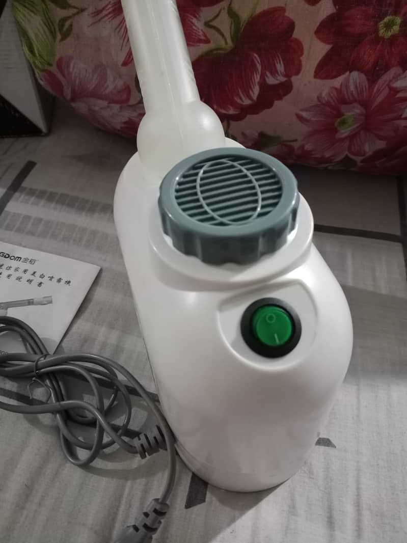 Face Steamer 2