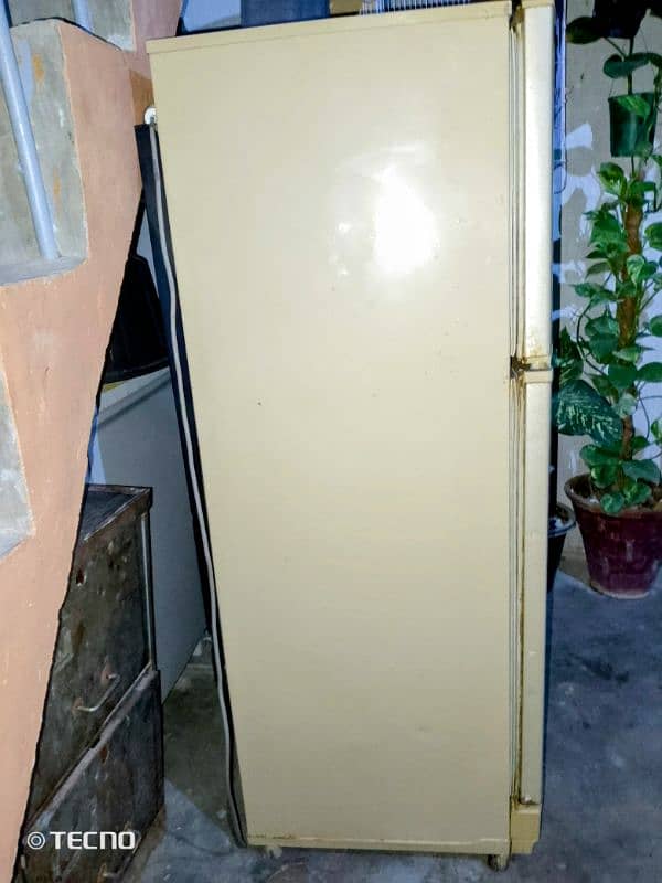 pel refrigerator medium size 1