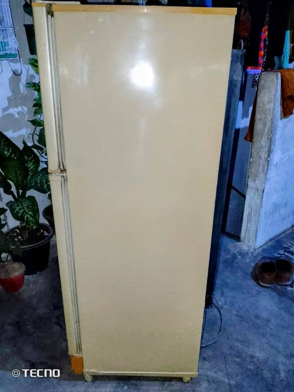 pel refrigerator medium size 2