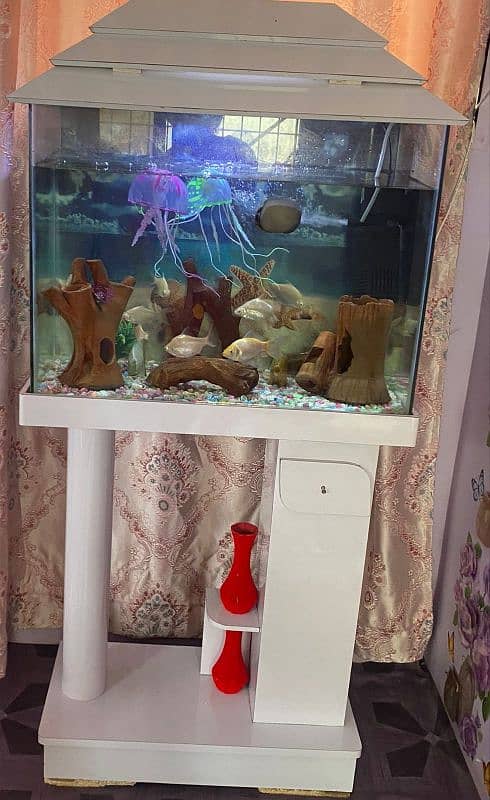 fish aquarium new condition 1