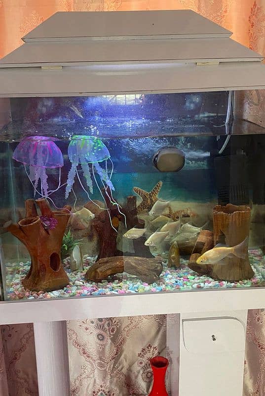 fish aquarium new condition 2