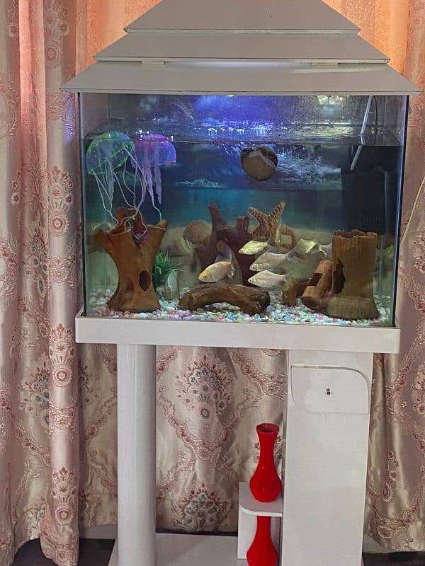 fish aquarium new condition 3