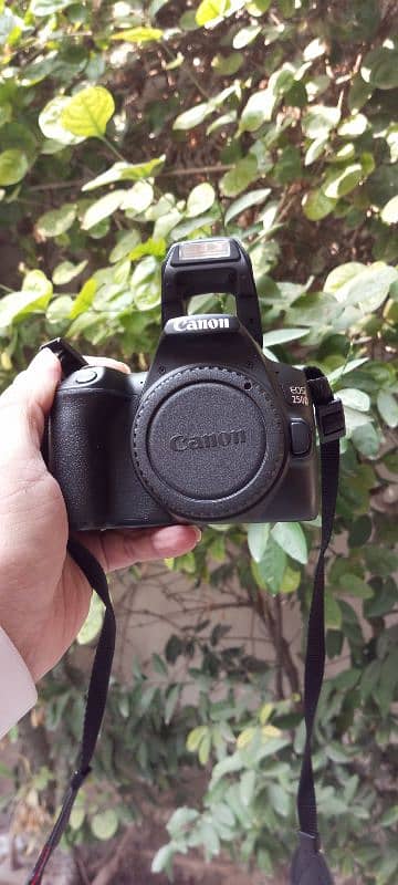 canon 250d with 3 lenses 2