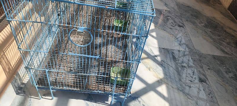 parrot folding 2portion cage for sell 1