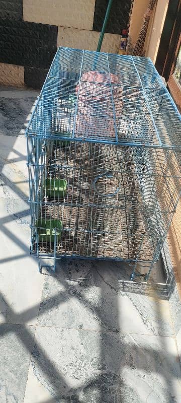 parrot folding 2portion cage for sell 3