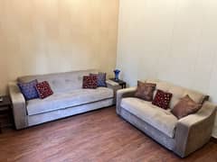 Two sofa beds in good condition