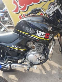 yamaha