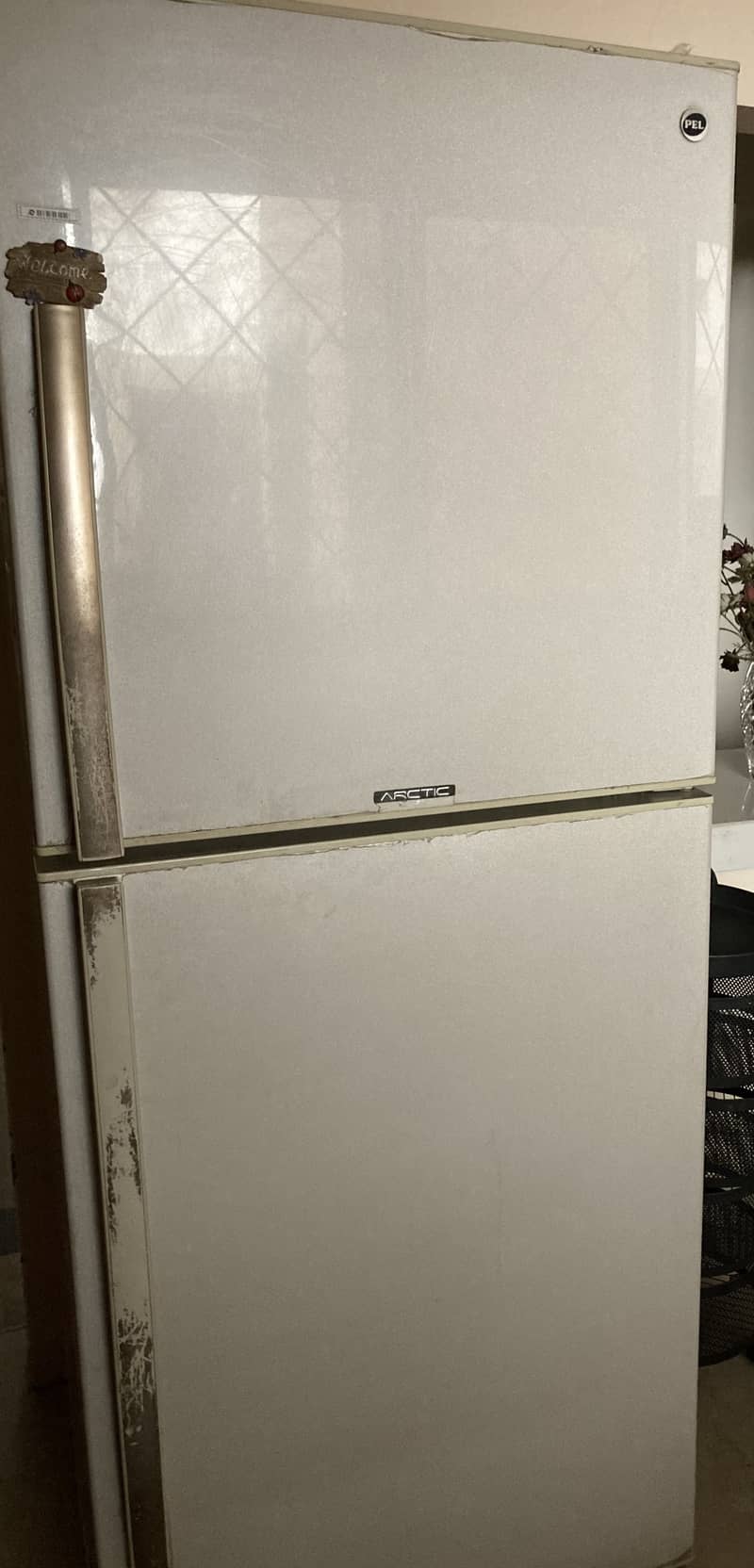 PEL Refrigerator 1