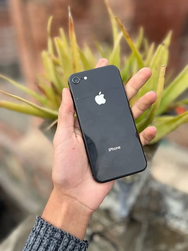 iphone 8 ( Pta Approved ) ALL OK 03269969969 Whatspp And Local 0