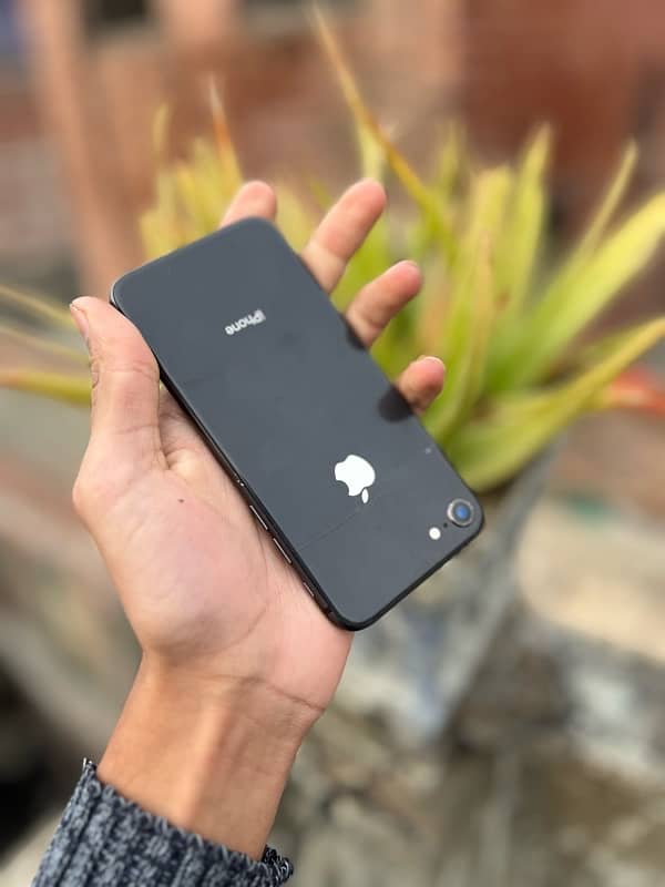 iphone 8 ( Pta Approved ) ALL OK 03269969969 Whatspp And Local 4