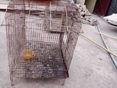 cages big cage heavy iron also available