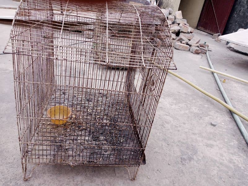 cages big cage heavy iron also available 0