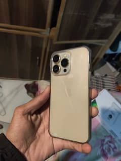 Iphone 13 Pro gold jv 10/10 exchange possible