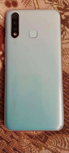 vivo