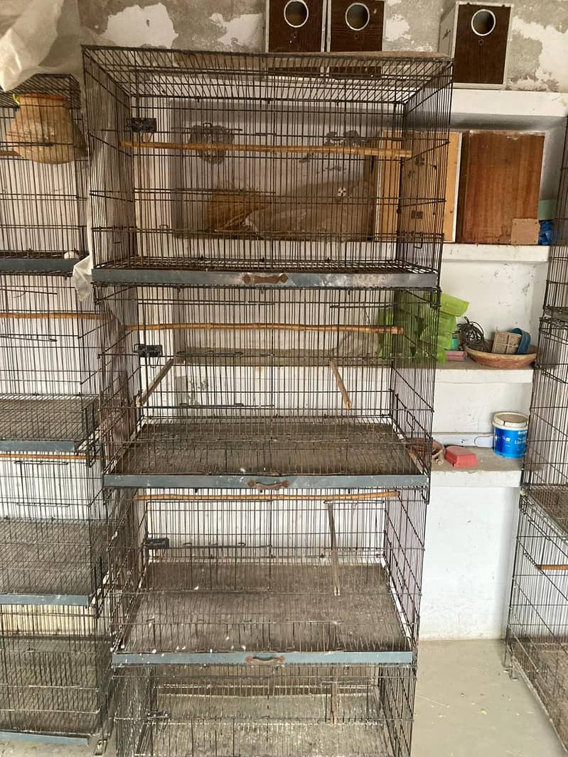 Birds cages , 2