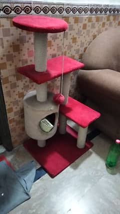 Cat House Full Size 4999