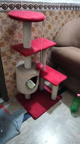 Cat House Full Size 4999 0