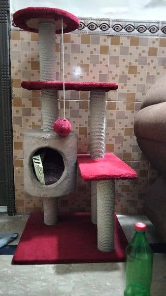 Cat House Full Size 4999 1