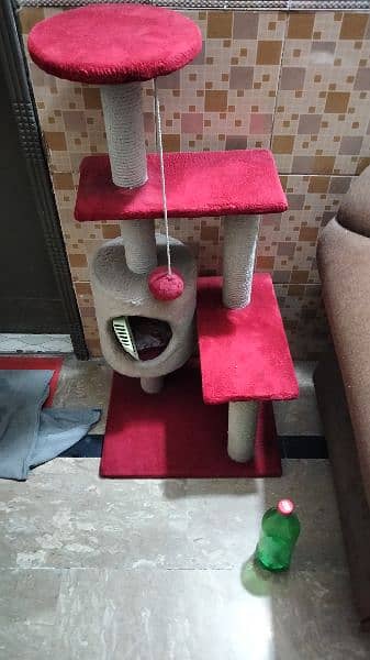 Cat House Full Size 4999 2