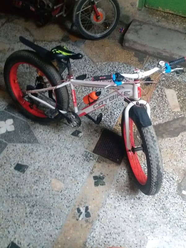 Fat tyre cycle (urgent sale) 2