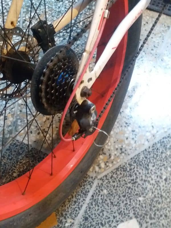 Fat tyre cycle (urgent sale) 3