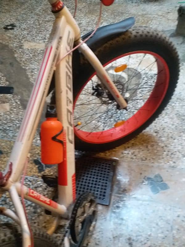 Fat tyre cycle (urgent sale) 4