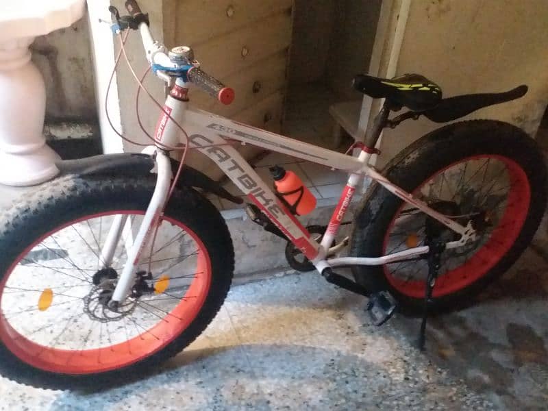 Fat tyre cycle (urgent sale) 7