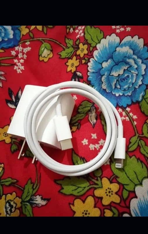 iPhone original charger 2