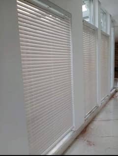 Window Blinds