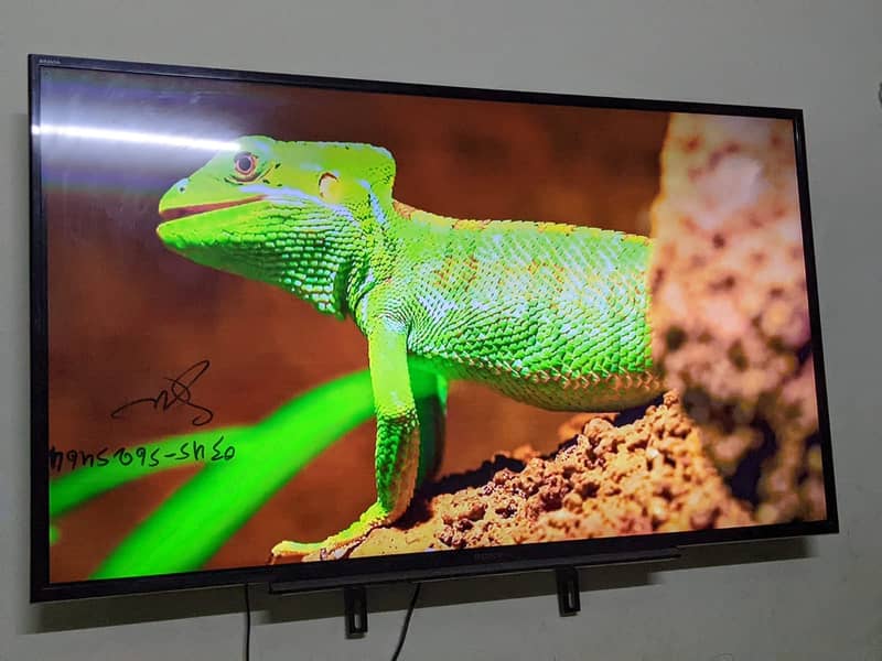 URGENT SALE LCD 55 INCH 0