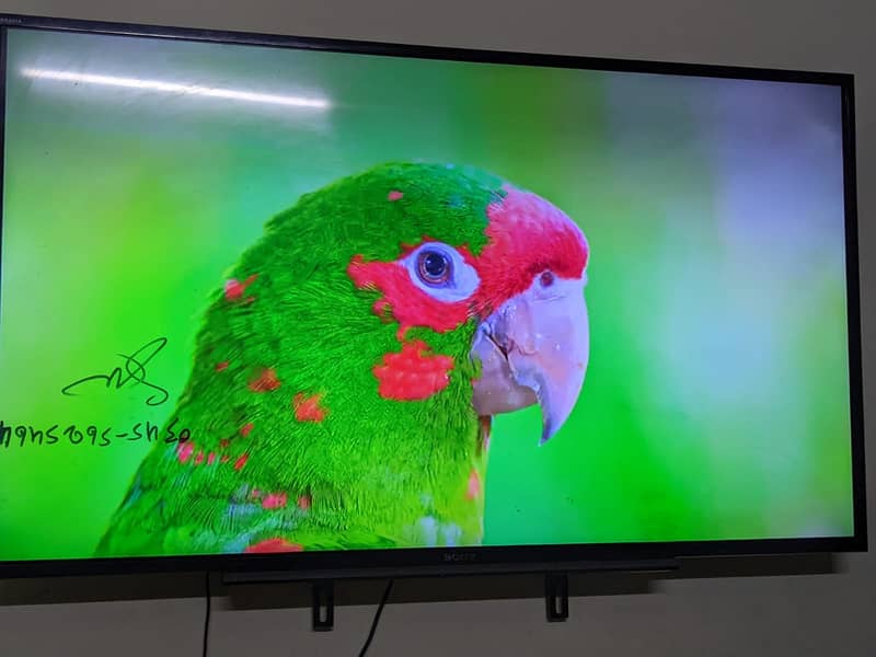 URGENT SALE LCD 55 INCH 1