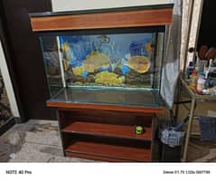 BRAND NEW 3 FEET AQUARIUM