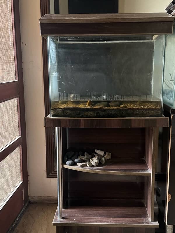 2 Aquariums for urgent sale 3