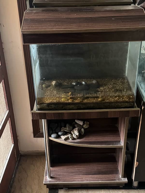 2 Aquariums for urgent sale 4