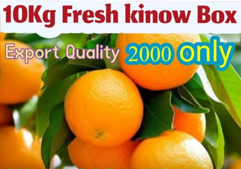 Fresh kinow of Sargodha at Low price 0