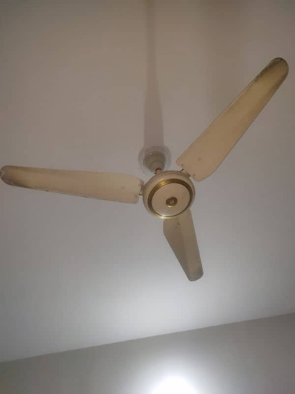 04 ceilings fans 0