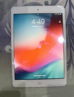 ipad mini 2