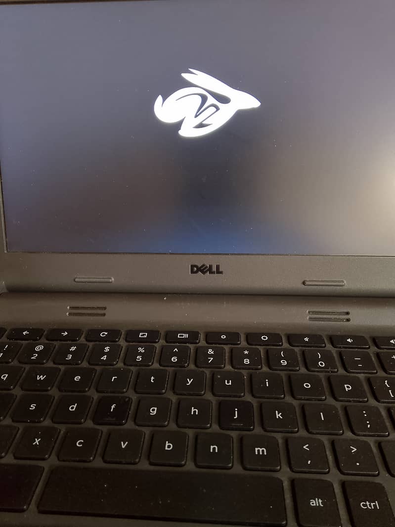 Dell Chromebook 3120 2