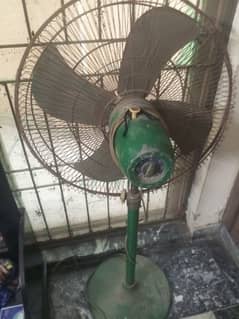 fan