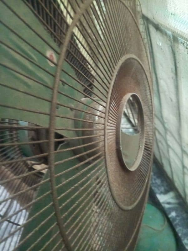 fan . . . 1