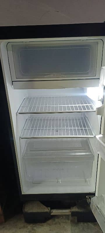 PEL Glass Door Room Size Fridge 3