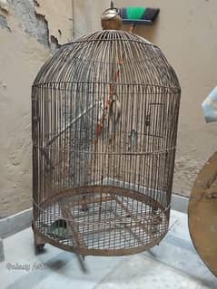 parrot cage