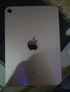 iPad mini 6