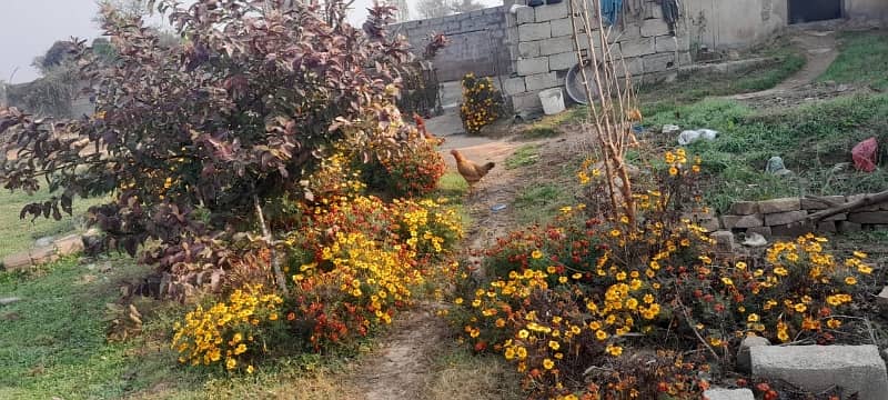 Beautiful 4 Kanal Farm House Available For Sale In Simly Dam Road Islamabad 24