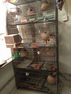 Cage & Birds For sale