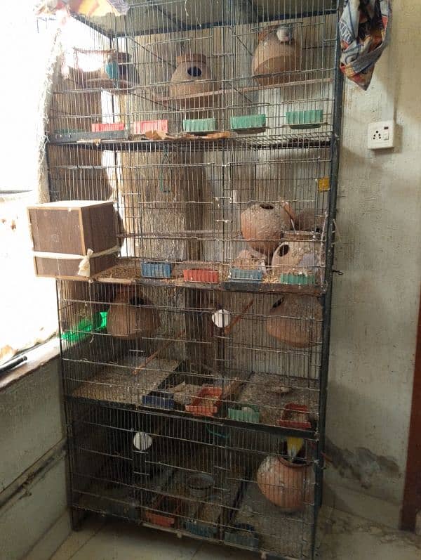 Cage & Birds For sale 1