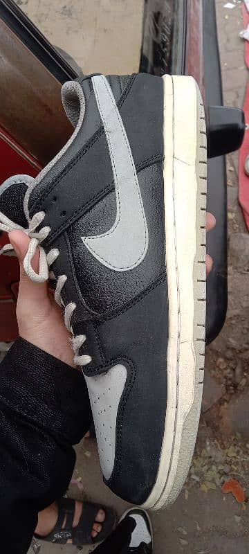 nike sbs low dunk pro 2