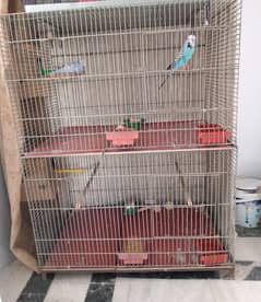 Parrot's thick wire cage