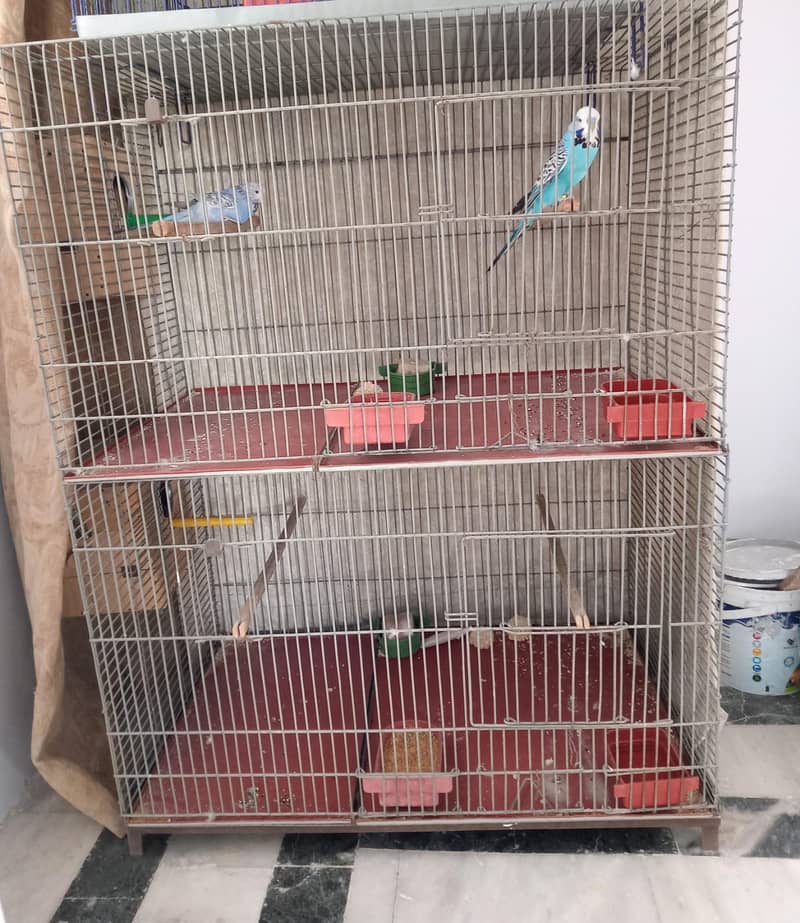 Parrot's thick wire cage 0